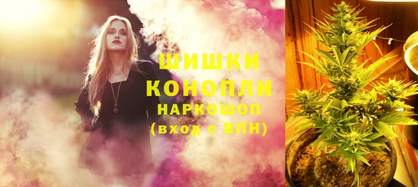 дживик Баксан